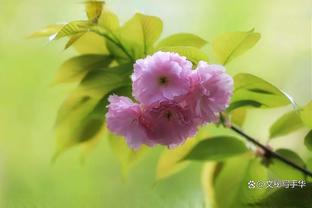 记者：申花队今天返回上海，后天赴长春，路易斯伤病没有大碍