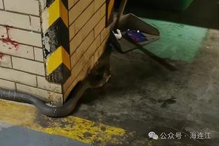 西甲滕哈赫？哈维：我们走在正确道路上，踢了一场很好的比赛